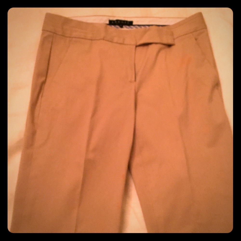 Theory Pants
